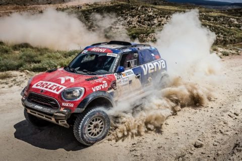 Hungarian Baja: W drodze po puchar świata