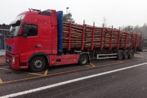 Dramatyczny stan polskiej ciężarówki. Czescy policjanci w szoku