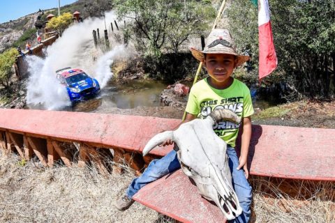 Walka północy z południem. Kto będzie górą w Rajdzie Meksyku?