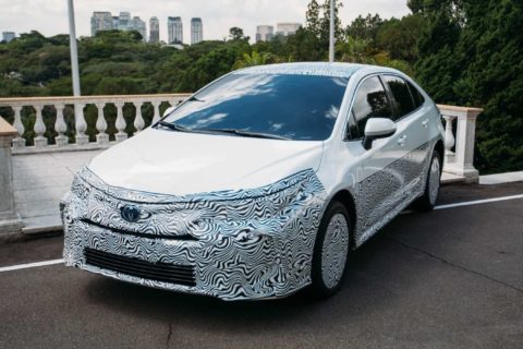 „Jadę zatankować alkohol”. Tak wkrótce powie właściciel hybrydowej Toyoty Corolli