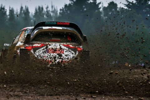 Rajd Chile: Tanak i Toyota – niezwyciężeni? Kolejny triumf Estończyka