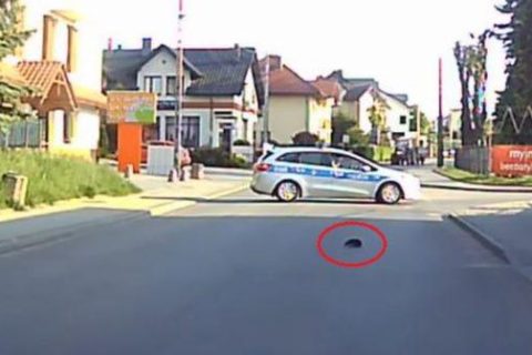 Policjanci zablokowali autem drogę, by uratować… jeża