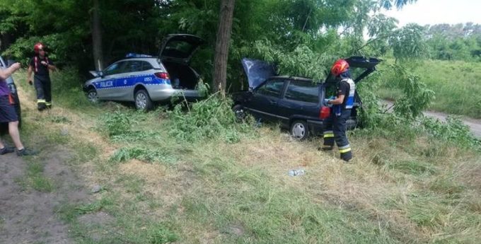Pościg się nie udał, ucieczka też nie wyszła. Radiowóz i uciekinier skończyli na drzewie