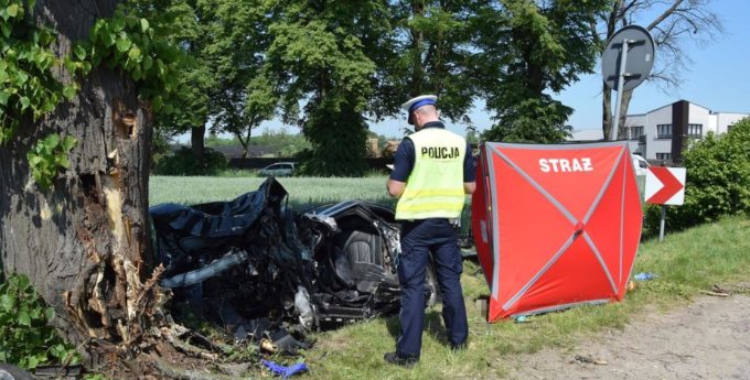 Policja pokazała makabryczne zdjęcia rozbitego o drzewo Audi A6. Nie było czego zbierać