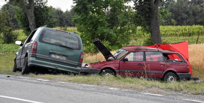 14-latek ukradł Passata rodzicom. Zabił swoją rówieśniczkę