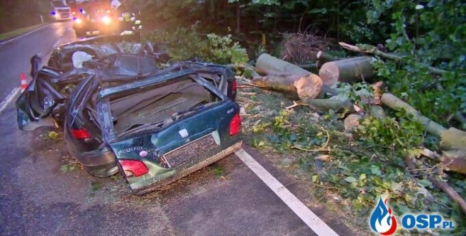 Dolnośląskie: Peugeot 406 kombi totalnie zmiażdżony przez wielki konar drzewa