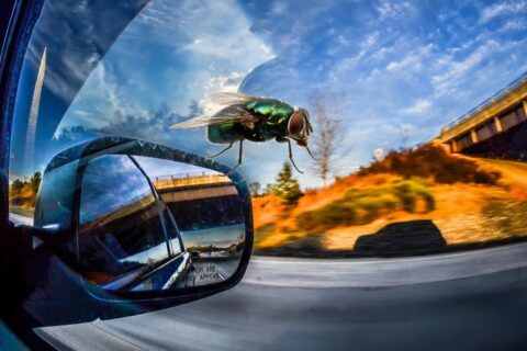 Radiowóz stanął na światłach. Policjant świadkiem dramatu w aucie obok