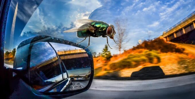 Radiowóz stanął na światłach. Policjant świadkiem dramatu w aucie obok