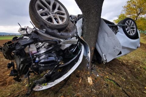18-latek pożyczył auto od swoich rodziców. Brawurową podróż zakończył na drzewie
