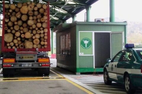 66 ton zamiast dopuszczalnych 40. „Zapakował drewno na maxa, bo mu kazali”