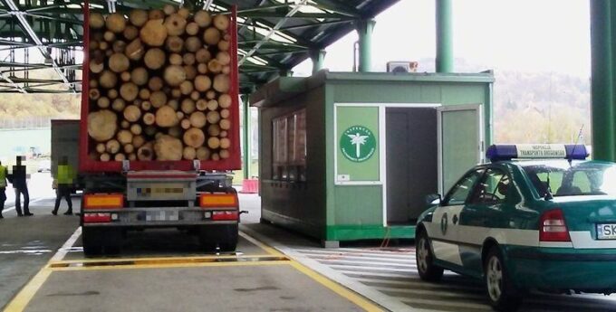 66 ton zamiast dopuszczalnych 40. „Zapakował drewno na maxa, bo mu kazali”