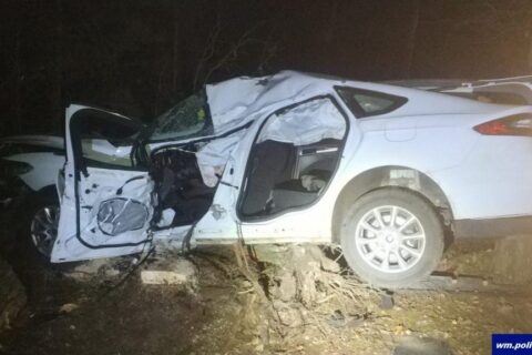 Wypożyczył samochód nie mając prawa jazdy. Skończył na drzewie