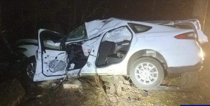 Wypożyczył samochód nie mając prawa jazdy. Skończył na drzewie