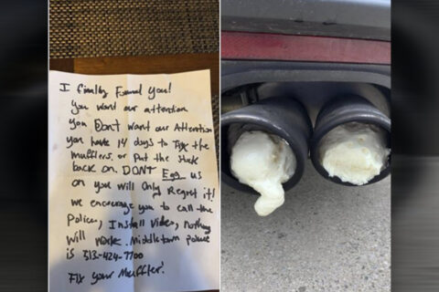 wkurzony sąsiad Mustang