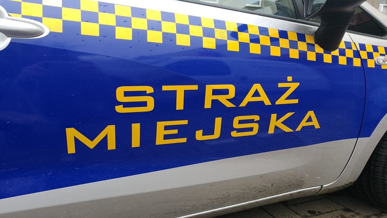 straz miejska