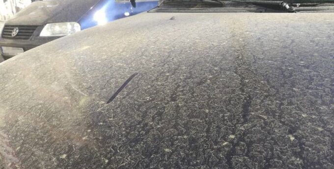 żółty pyl samochody