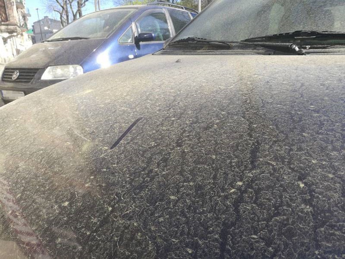 żółty pyl samochody