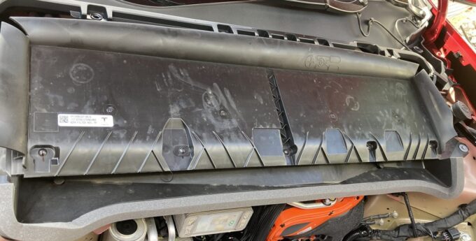 Tesla i tryb obrony biol