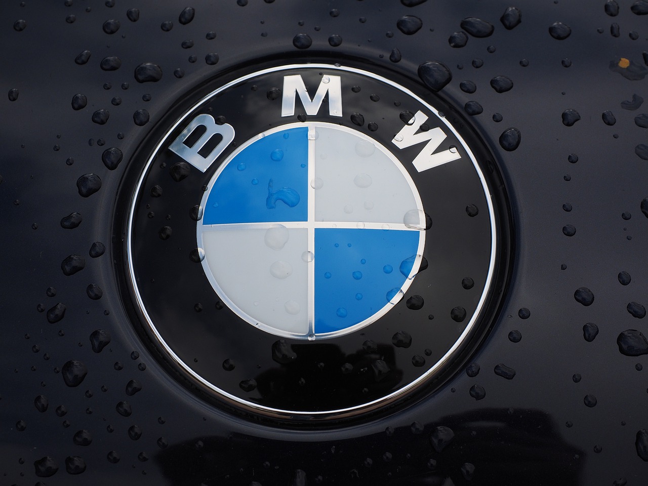 BMW logo