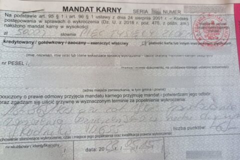 Kierowca Tesli w jednej chwili zgarnął 5 tys. zł mandatu. I to nie za prędkość – co mogło być tego przyczyną?