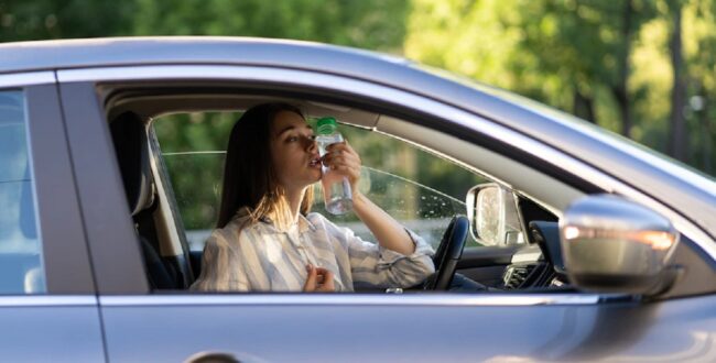upał w samochodzie freepik