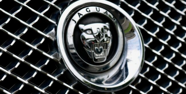 Niezwykle praktyczny SUV Jaguara