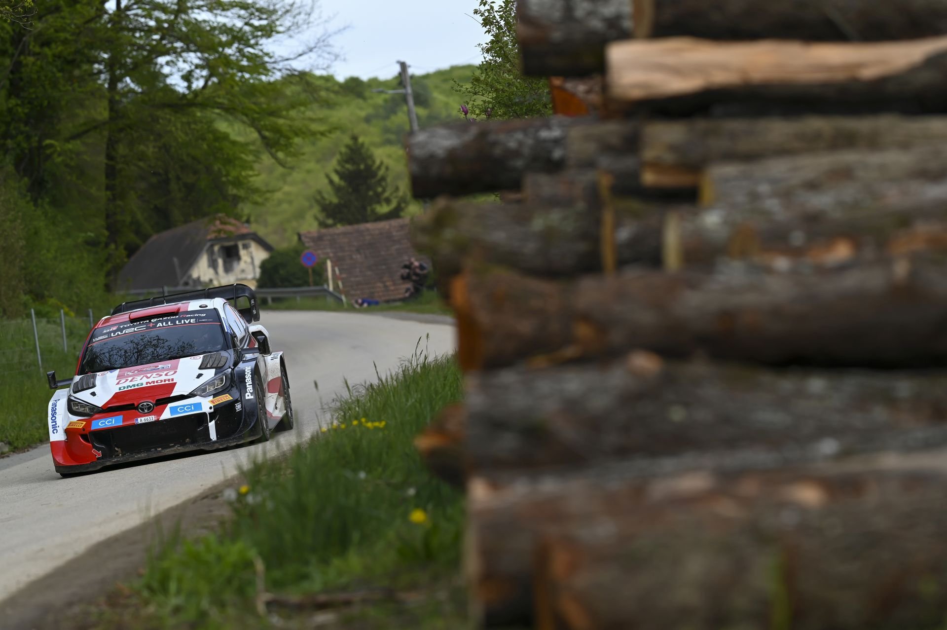 rovanpera tanak wrc mistrzostwa świata mistrz rajd nowej zelandii