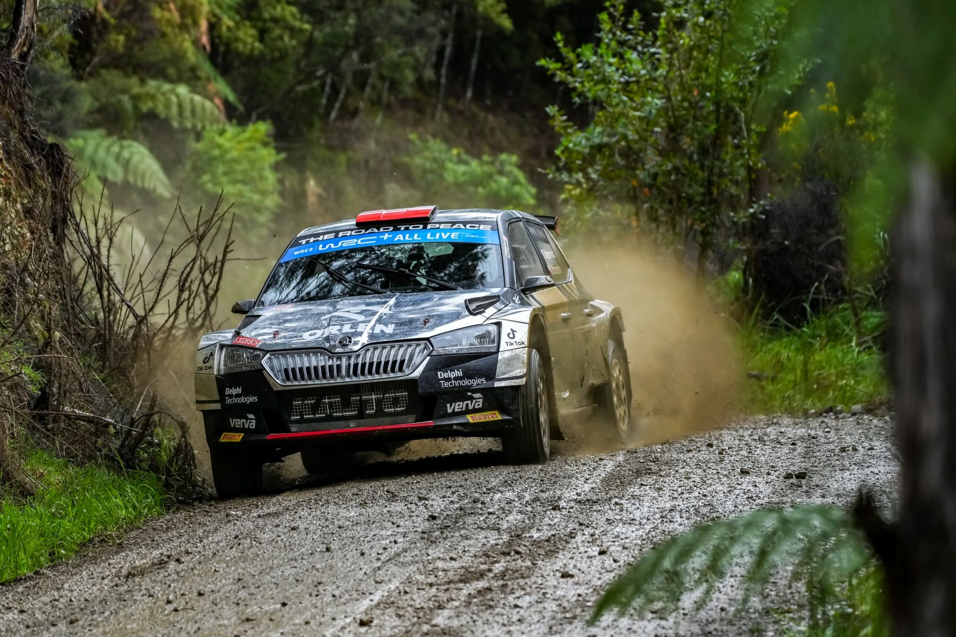 kajetanowicz lindholm wrc 2 mistrzostwa świata