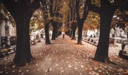 mandat cmentarz wszystkich swietych