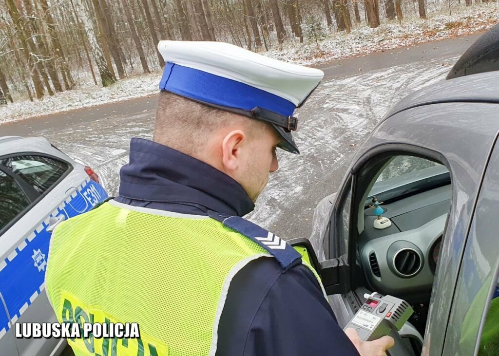 mandat policjant snieg