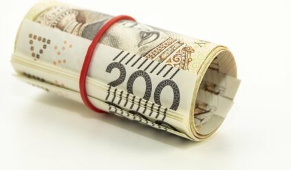 kierowca zawodowy praca zarobki prawo jazdy c+e