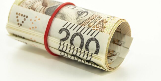 kierowca zawodowy praca zarobki prawo jazdy c+e