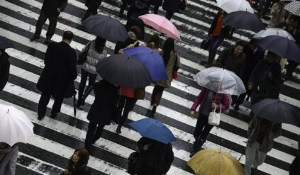 Przez pierwszeństwo na pasach ginie więcej osób? Policyjne statystyki są w tym przypadku bezwzględne