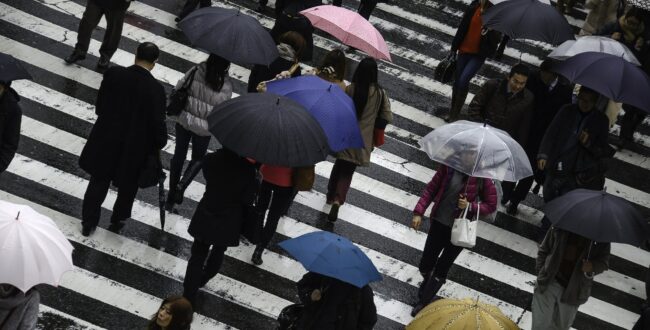 Przez pierwszeństwo na pasach ginie więcej osób? Policyjne statystyki są w tym przypadku bezwzględne