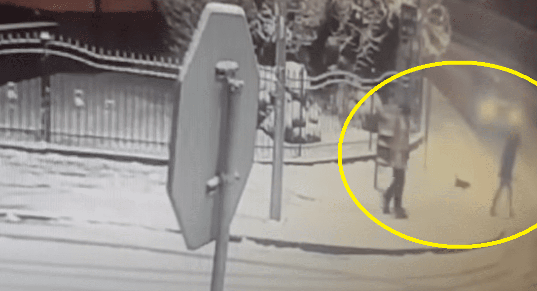 mandat przejście dla pieszych pieszy potrącenie policja