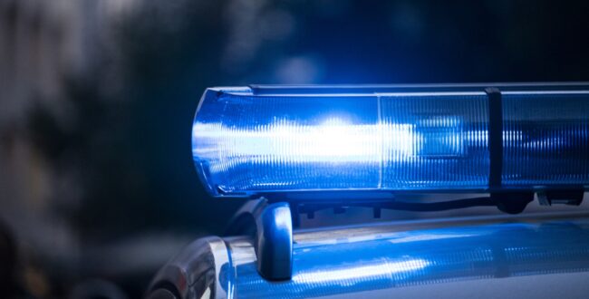 policja senior mandat