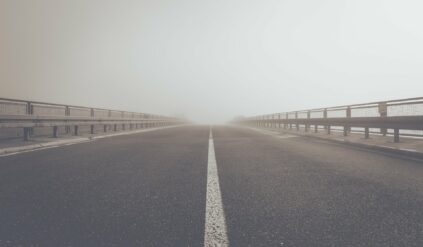 Nietypowa przeszkoda na drodze. Przybyli na miejsce policjanci nie wierzyli własnym oczom