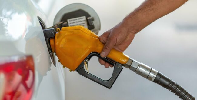 benzyna diesel ceny paliw paliwo najtaniej najdrożej