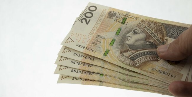 oszczędność oszczędności pieniądze karta dużej rodziny