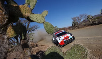 Ogier powalczy o tytuł? Mistrz dał jasną odpowiedź