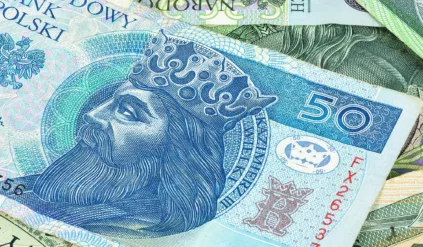 ubezpieczenie oc kara kary polisa samochód kierowca kierowcy