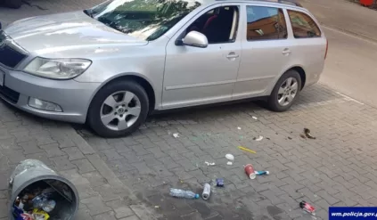 Mogli zabić swoje dzieci. To nie są kandydaci na rodzica roku!