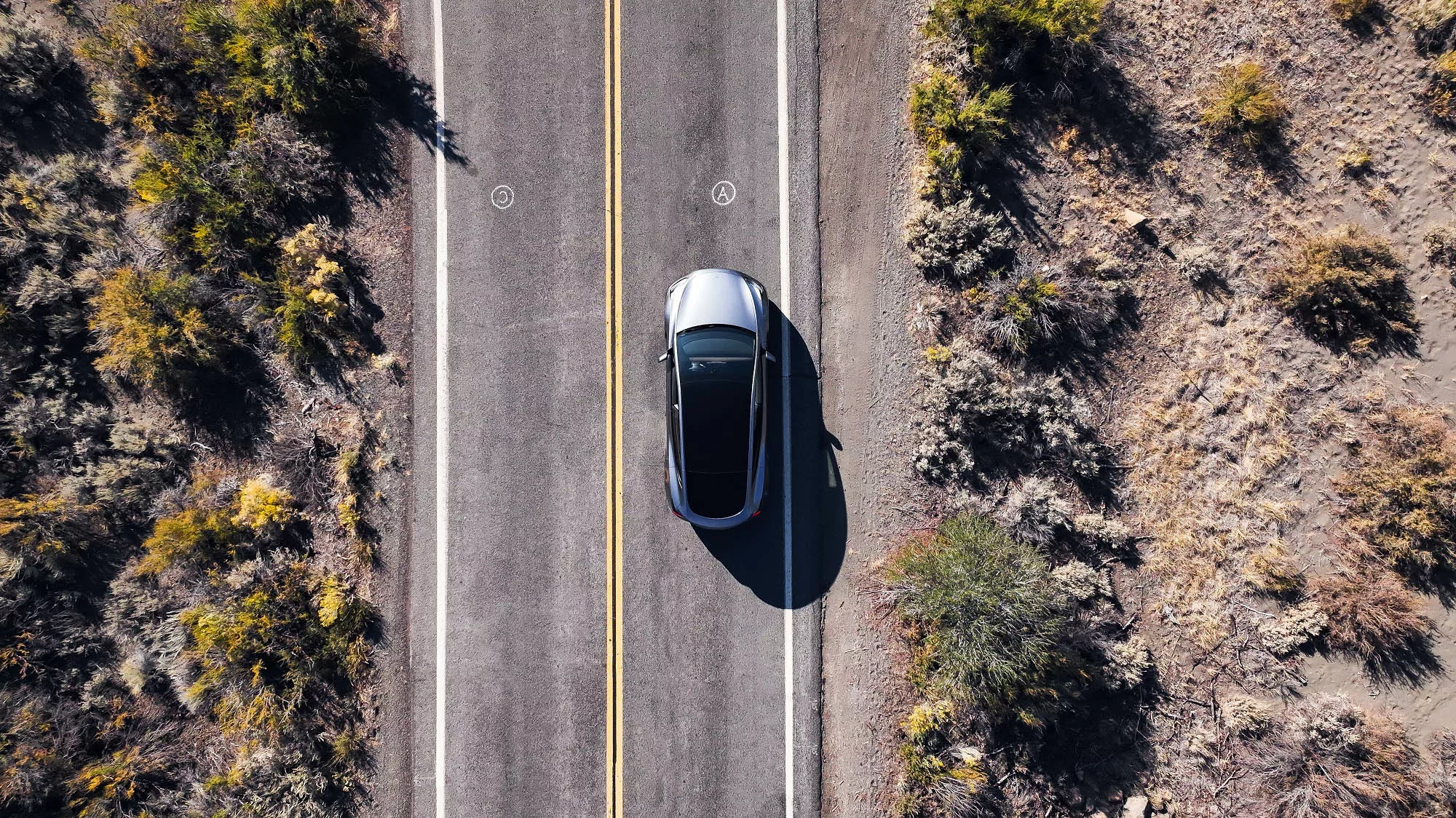 Tesla Model Y / z góry