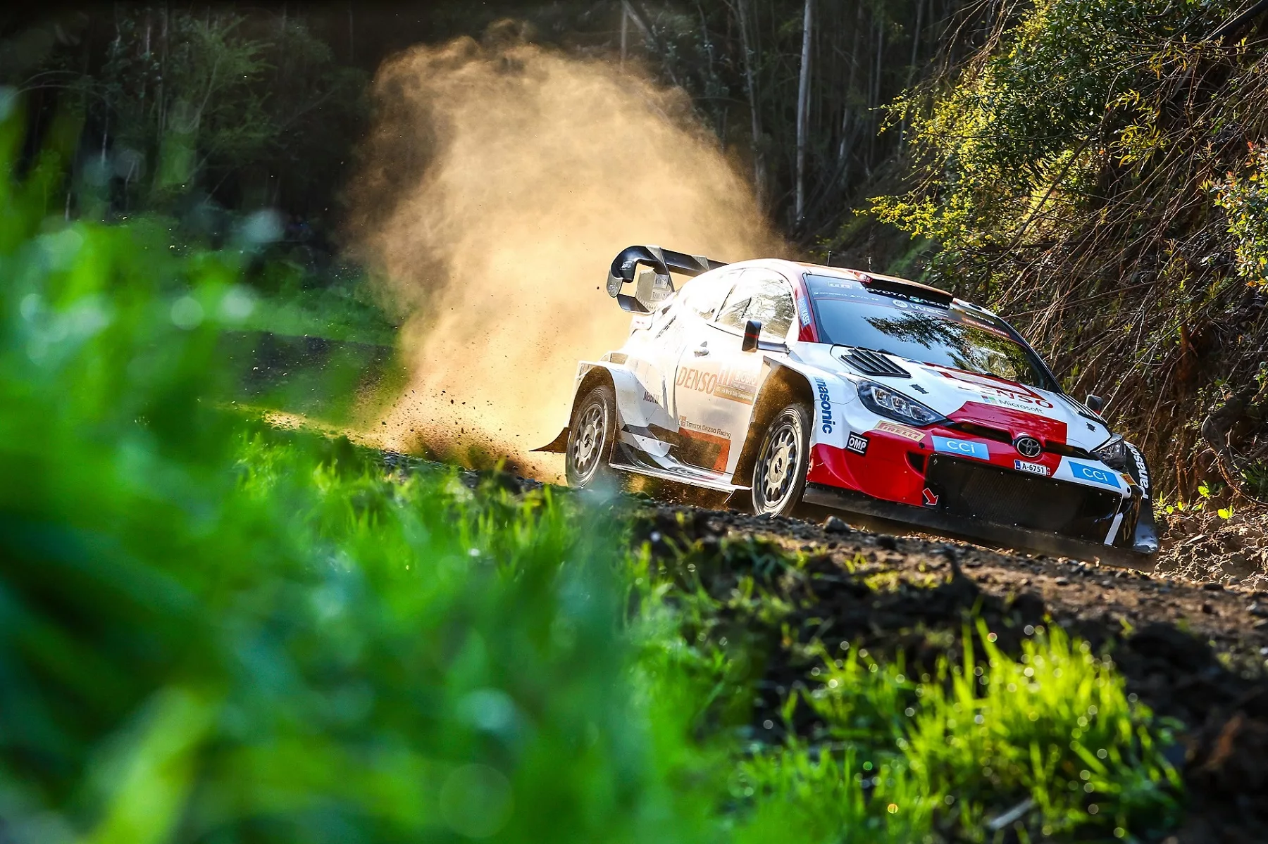 Elfyn Evans / Toyota GR Yaris Rally1 / Rajd Chile 2023 / WRC