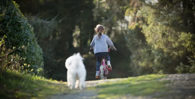 1500 zł mandatu dla nastolatków bez karty rowerowej. Nowe uprawnienia straży miejskiej trafią głównie w najmłodszych