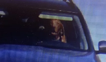 pies mandat fotoradar