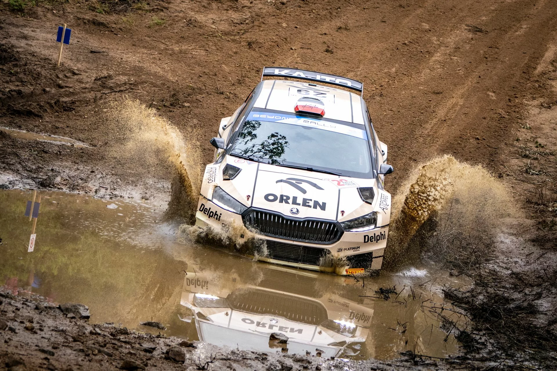 wrc kajetan kajetanowicz maciej szczepaniak orlen rally team