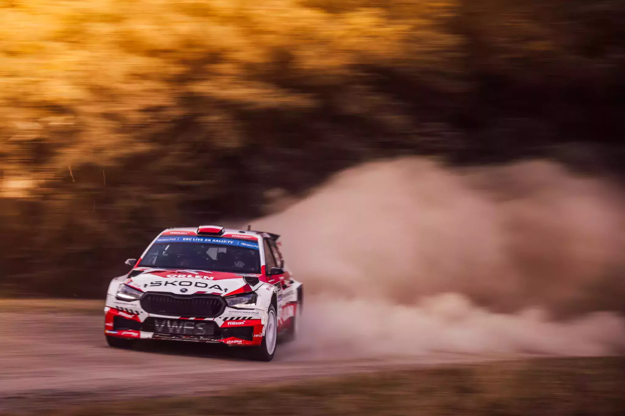 wrc orlen team mikołaj marczyk szymon gospodarczyk