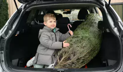 bagaznik transport choinka