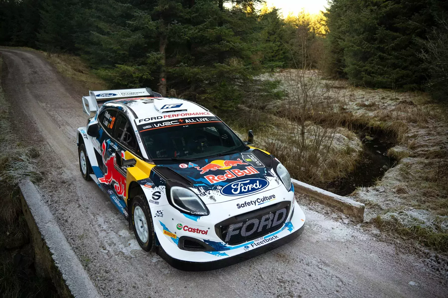 Ford Puma Rally1 2024